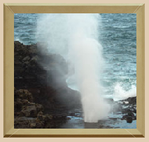 blowhole